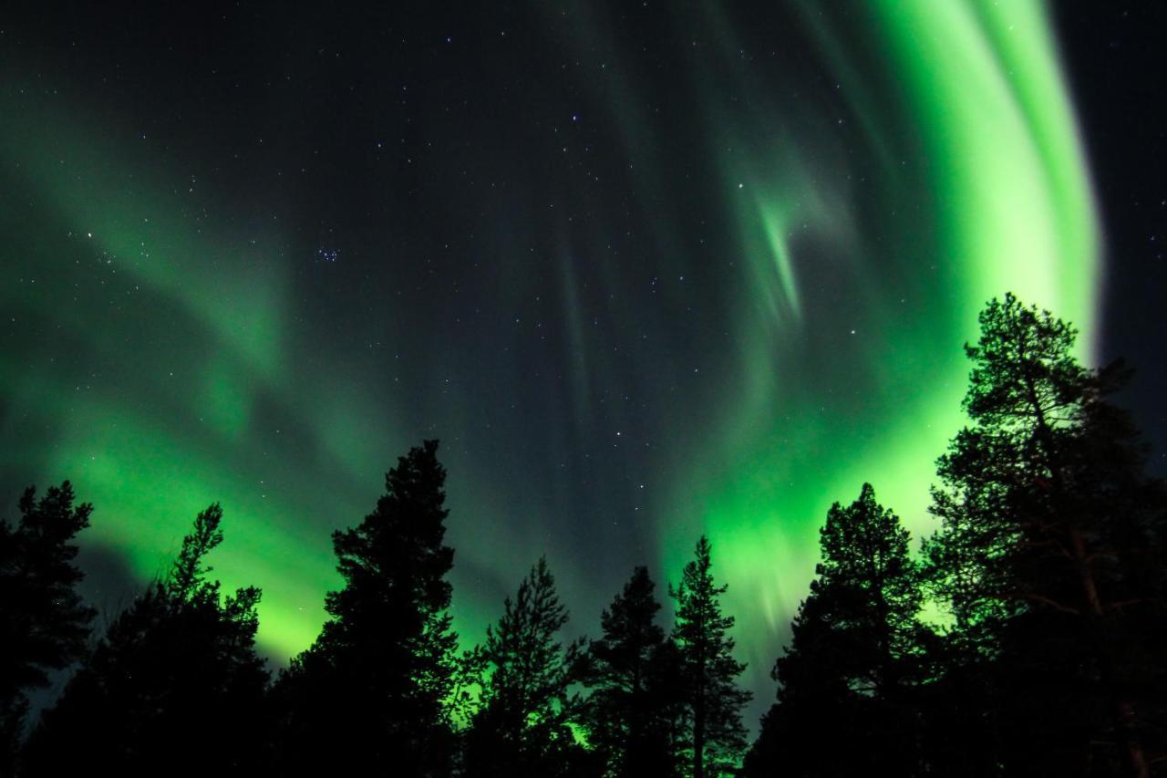 Sorrisniva Arctic Wilderness Lodge Alta Ngoại thất bức ảnh
